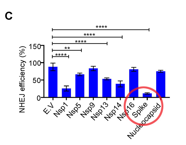 20220211_62067fb3134a4 SCIENCE HORROR: Vaccine spike protein enters cell nuclei, suppresses DNA repair engine of the human body, will unleash explosion of cancer, immunodeficiency, autoimmune disorders and accelerated aging