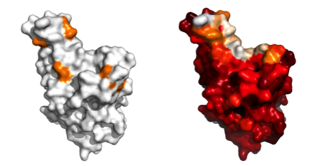 20220505_6273db2bed860 A deep dive on the evolution of COVID and its variants