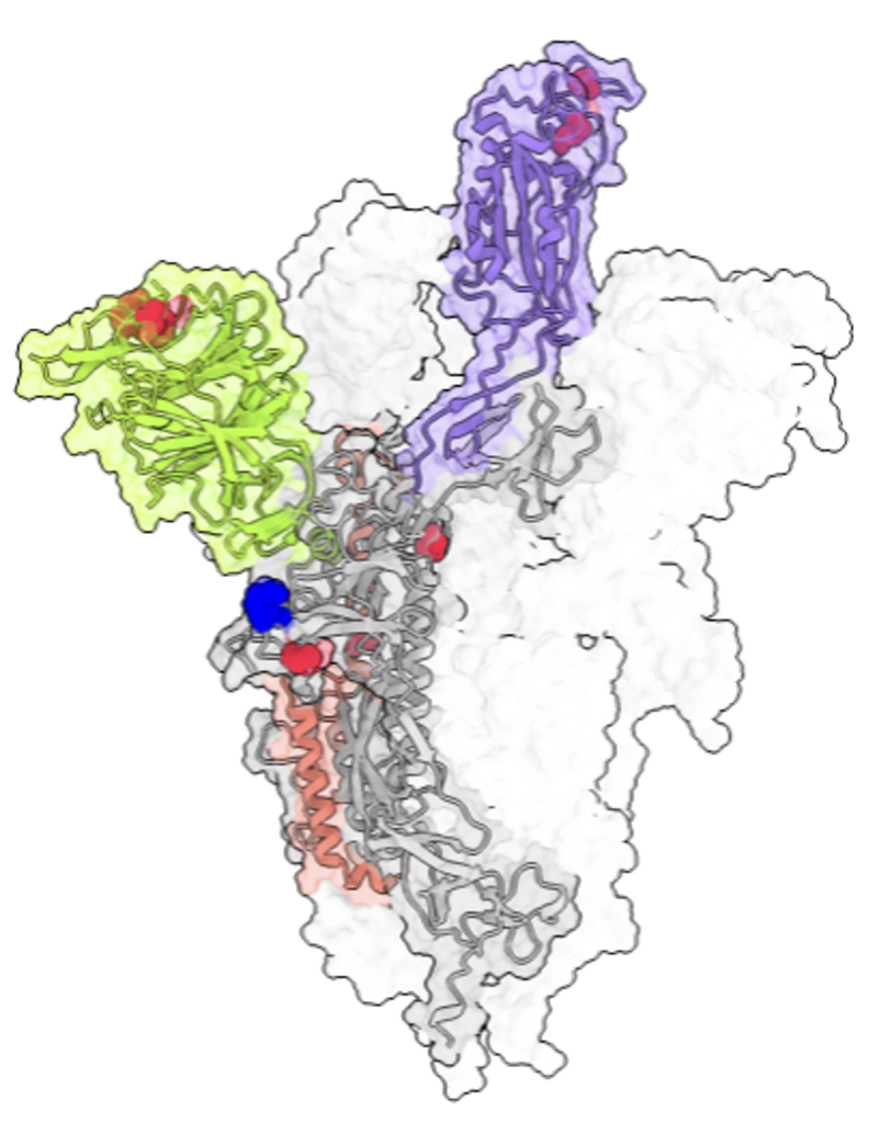 20220505_6273db2f6f93e A deep dive on the evolution of COVID and its variants