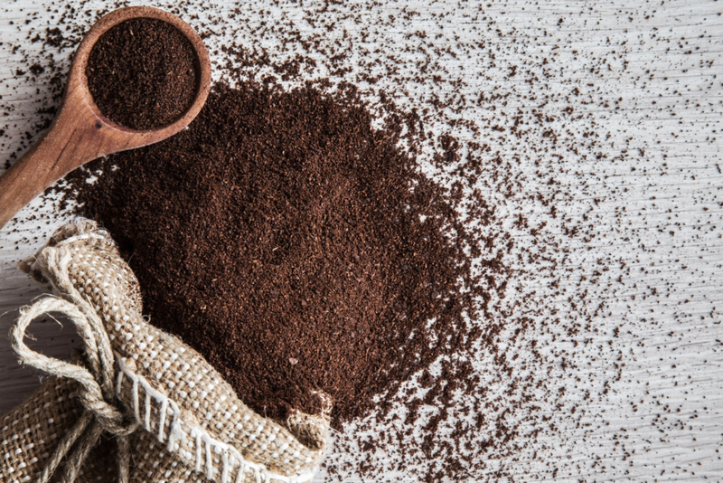 20230731_64c7803728a4b Don’t Dump Those Coffee Grounds! Some Repurpose Tips to Improve Household Hassles