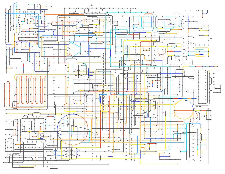 20240606_666109fb256d9 What Is Metabolism? Biochemist Explains How People Convert Energy Differently − And Why It Matters